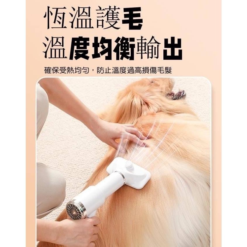 【現貨商品 快速出貨】寵物乾濕兩用手持吹毛刷 27*12*12cm 人體工程學機身設計 一鍵除毛 蜂巢式進風網-細節圖6