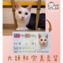高仿真 客製化 寵物身份證製作 悠遊卡 一卡通 條碼可改載具  貓 狗 兔 鼠 鳥 鴨 刺蝟 蜜袋鼯 烏龜 古曼-規格圖6