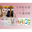 高仿真 客製化 寵物身份證製作 悠遊卡 一卡通 條碼可改載具  貓 狗 兔 鼠 鳥 鴨 刺蝟 蜜袋鼯 烏龜 古曼-規格圖6