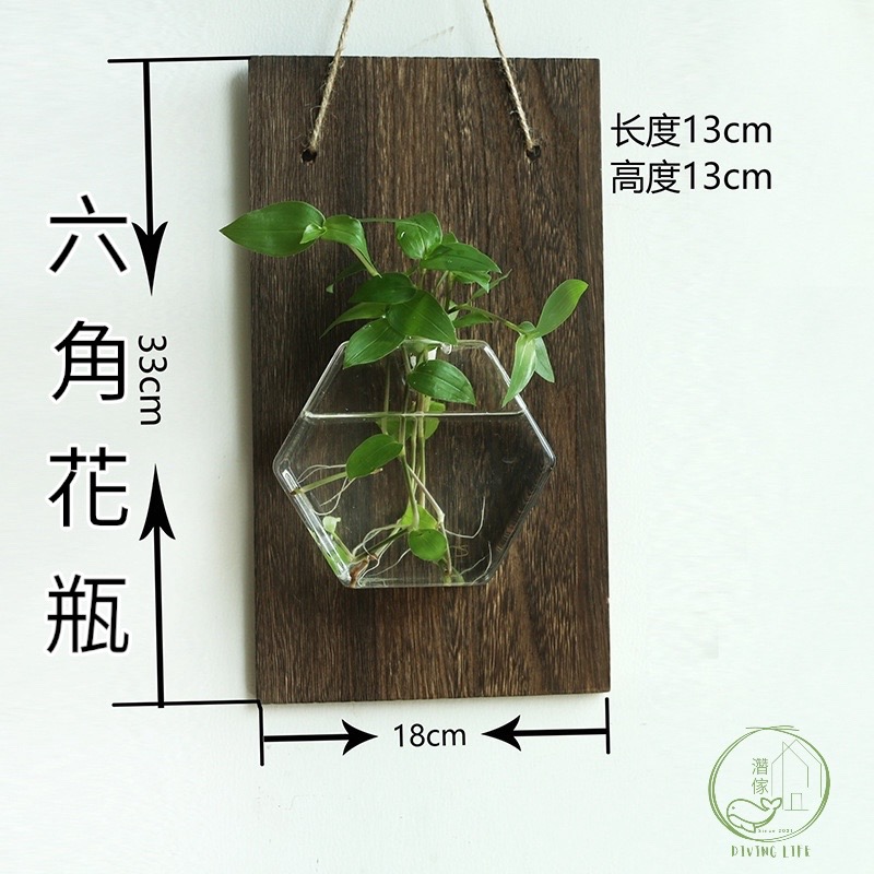濳傢獨家◖現貨◖ 日式創意花瓶✨水培植栽 室內室外懸掛式水培植物 壁掛式水耕植物小花瓶-規格圖5