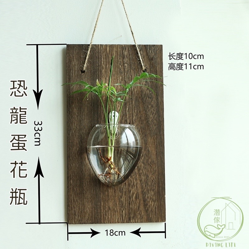 濳傢獨家◖現貨◖ 日式創意花瓶✨水培植栽 室內室外懸掛式水培植物 壁掛式水耕植物小花瓶-規格圖5
