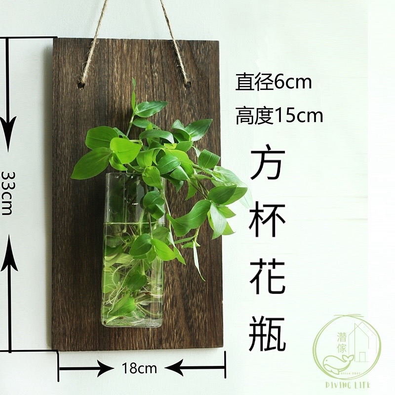 濳傢獨家◖現貨◖ 日式創意花瓶✨水培植栽 室內室外懸掛式水培植物 壁掛式水耕植物小花瓶-規格圖5