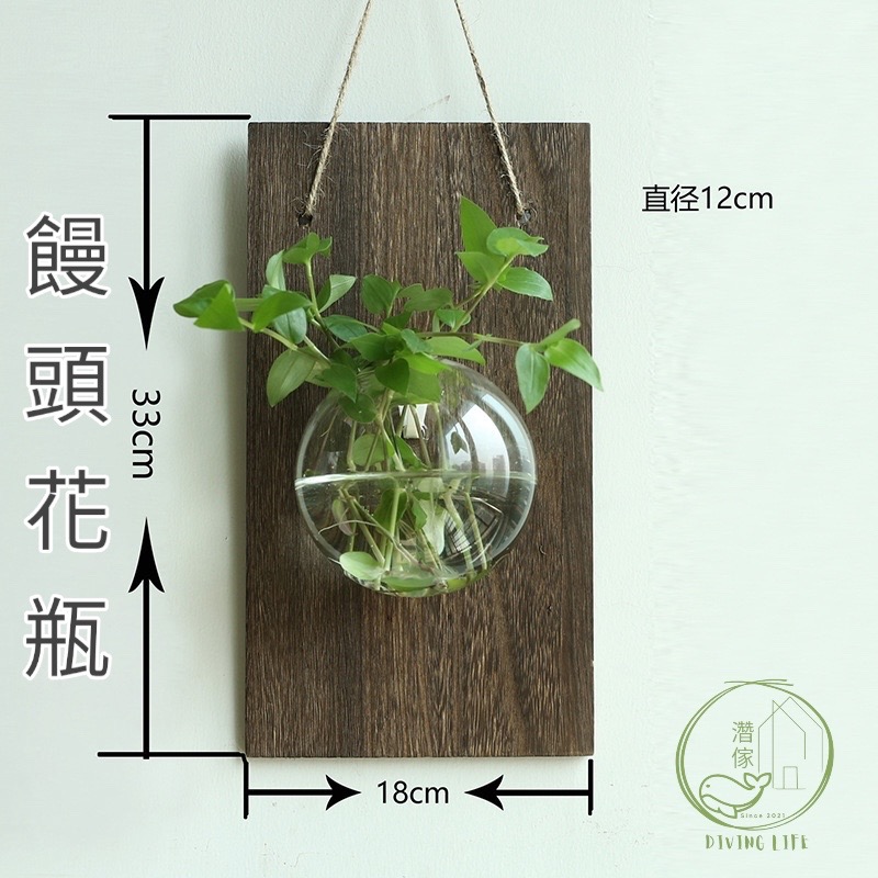 濳傢獨家◖現貨◖ 日式創意花瓶✨水培植栽 室內室外懸掛式水培植物 壁掛式水耕植物小花瓶-規格圖5