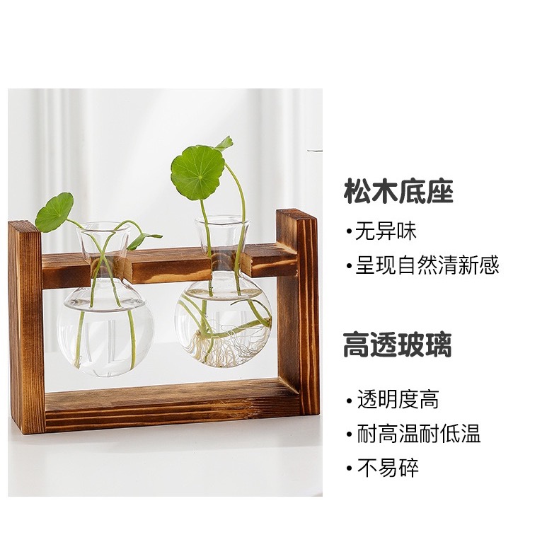 濳傢獨家◖現貨◖ 日式辦公室室內花器✨水耕花瓶 居家綠植水培玻璃 綠化辦公室擺飾 交換禮物-細節圖2