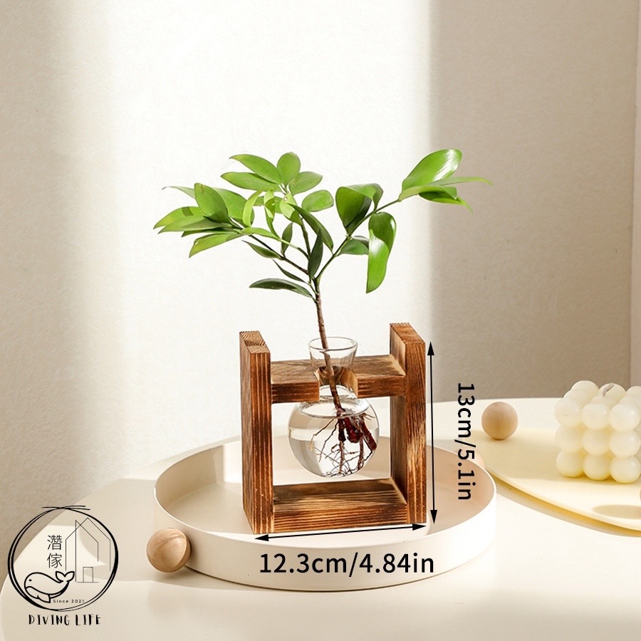 濳傢獨家◖現貨◖ 日式辦公室室內花器✨水耕花瓶 居家綠植水培玻璃 綠化辦公室擺飾 交換禮物-規格圖4