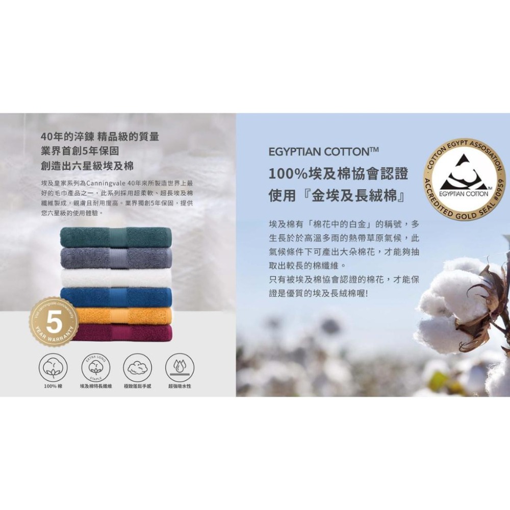 【方巾】【澳洲Canningvale】埃及經典 埃及棉 方巾 30x30cm 擦手巾 厚實 五星飯店指定品牌【單件賣場】-細節圖6