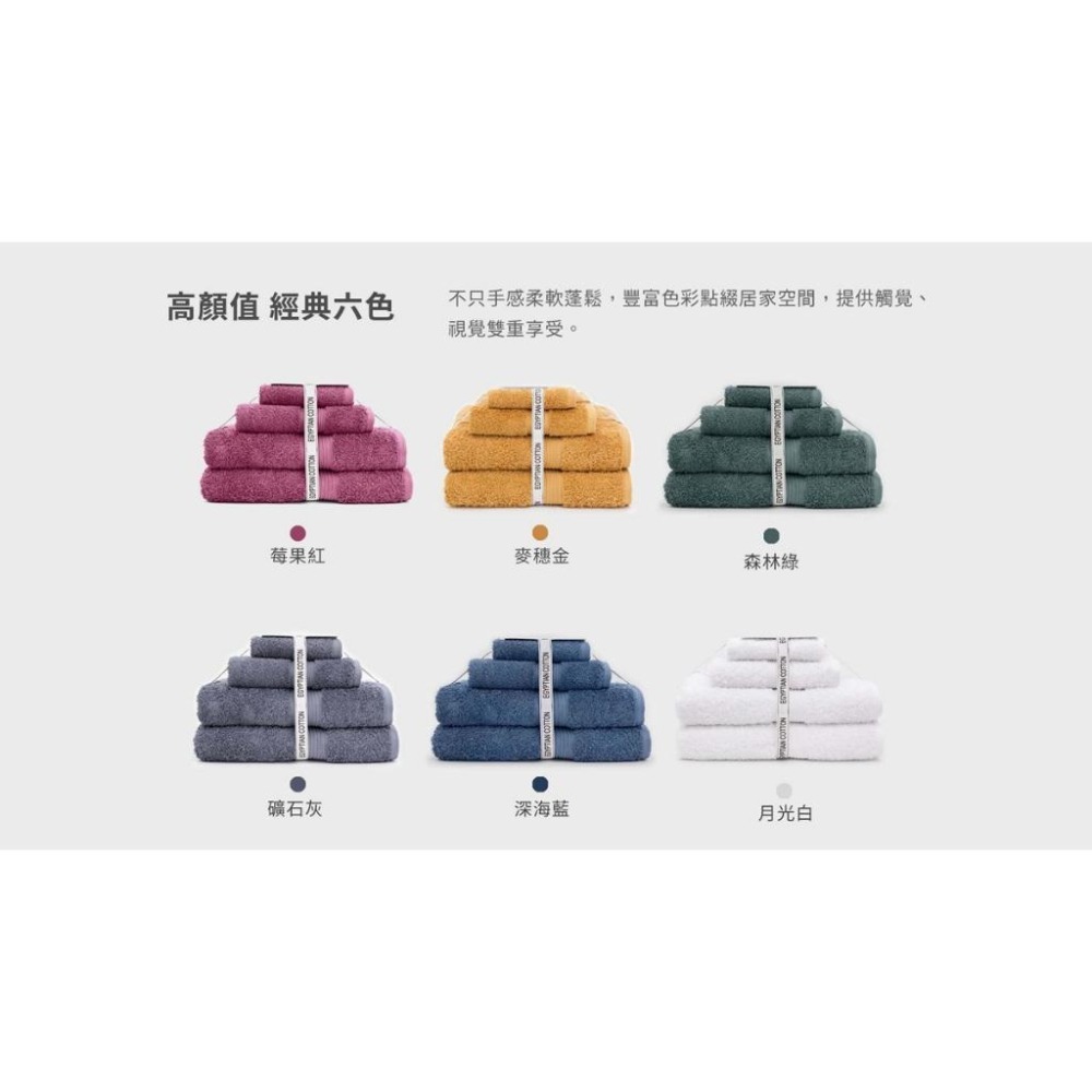 【六件組】【澳洲Canningvale】埃及經典 埃及棉 浴巾 毛巾 方巾 厚實 買過大推 五星飯店指定御用品牌【現貨】-細節圖8
