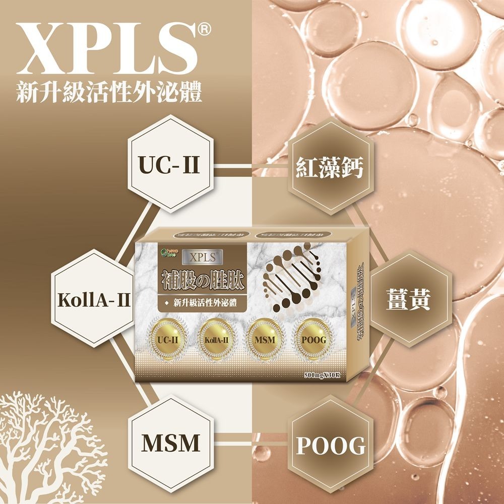【NEW】新升級 XPLS補股の胜肽 -30粒/盒-細節圖2