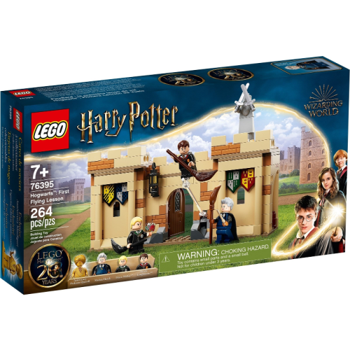 LEGO 樂高 哈利波特 76395 飛行課 全新 盒佳