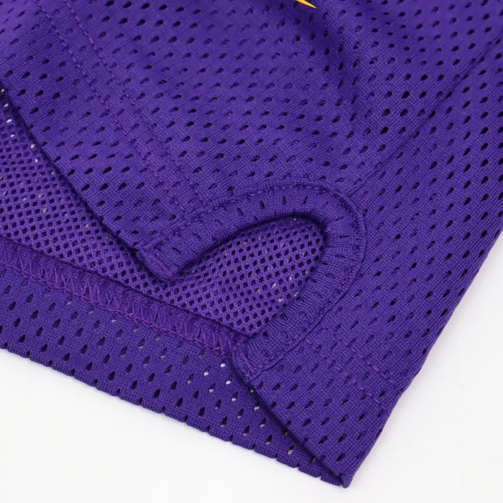 【WS】NIKE NBA LAL 湖人隊 KOBE LBJ 男款 紫金 運動 訓練 球褲 短褲 DX9700-504-細節圖9