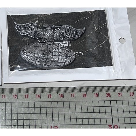 搭配真骨彫假面騎士&2號  香港FULLTEAM DLC 修卡logo-細節圖4