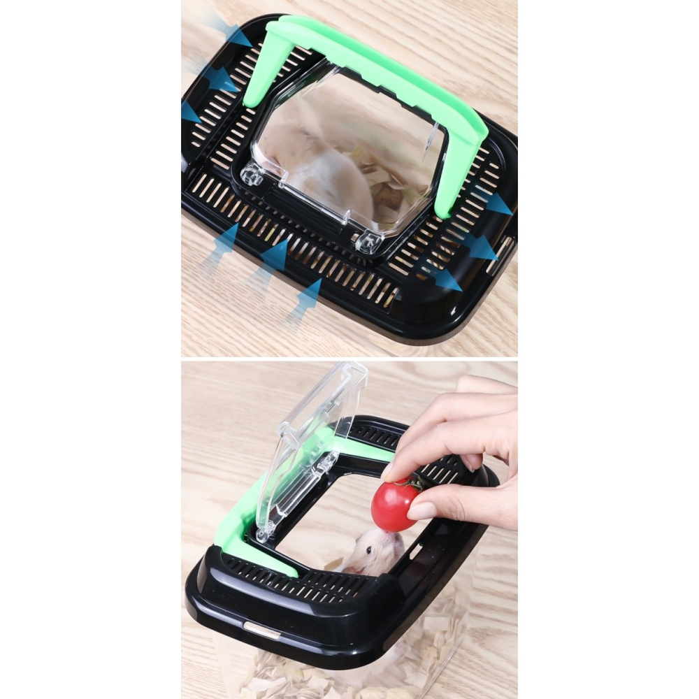 彤樂會💘【NAKAYA】昆蟲飼養箱 動物飼養容器 甲蟲飼養 鼠籠 透明魚缸 昆蟲繁殖箱 觀察箱 動物外出攜帶箱 爬蟲箱-細節圖3