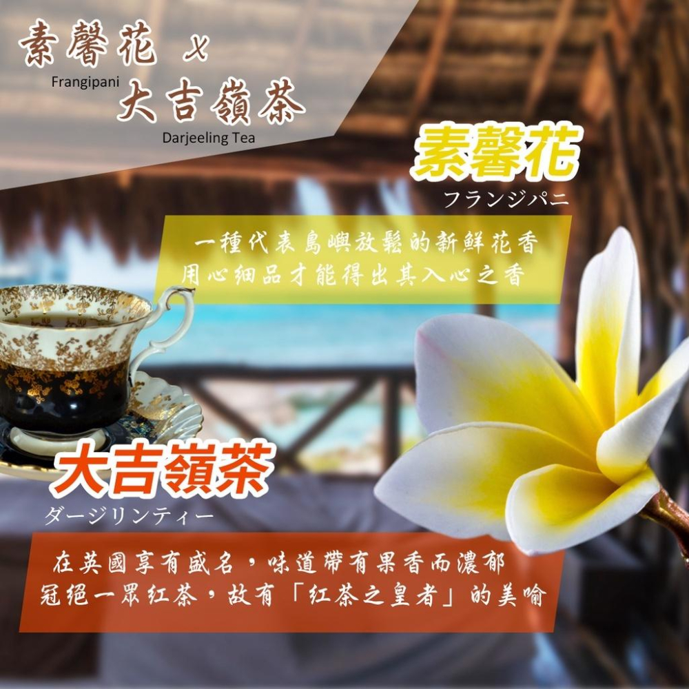 小草堂花神元氣精油貼布 12入 精油貼布 貼布 酸痛貼布 舒緩貼布 全身推拿 舒緩放鬆 痠痛 舒緩 冰涼舒適-細節圖3