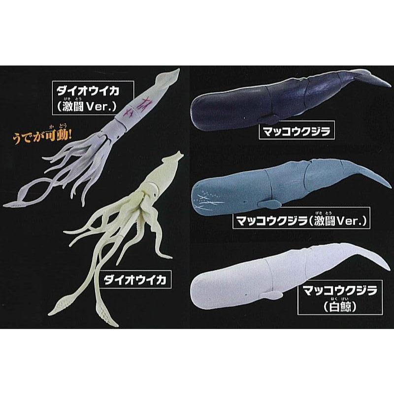 現貨不用等 日本 可玩的生物系列 深海的秘密 巨大鯨魚VS巨大烏賊 扭蛋 共五款-細節圖2