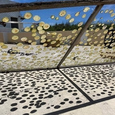 古早味澎湖酸瓜(700g/天然醃製無防腐)-細節圖2