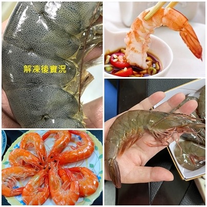泰國活凍生白蝦(1kg21/25大尺寸)-細節圖4