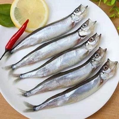 挪威爆卵母柳葉魚(單凍；尺寸為1kg41/45最大SIZE)-細節圖2