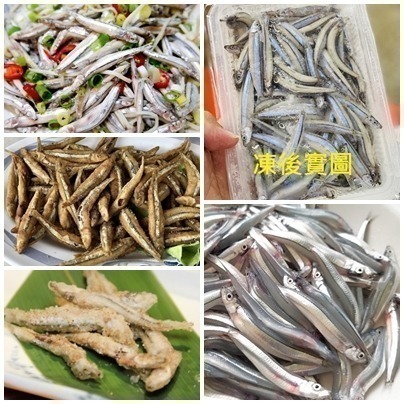 澎湖現流生丁香(300g/不經鹽煮or曬乾)-細節圖2