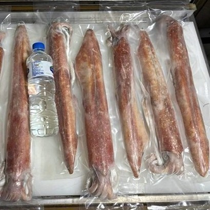 澎湖厚肉大砲卷(300-900g/內文有單價)-細節圖2