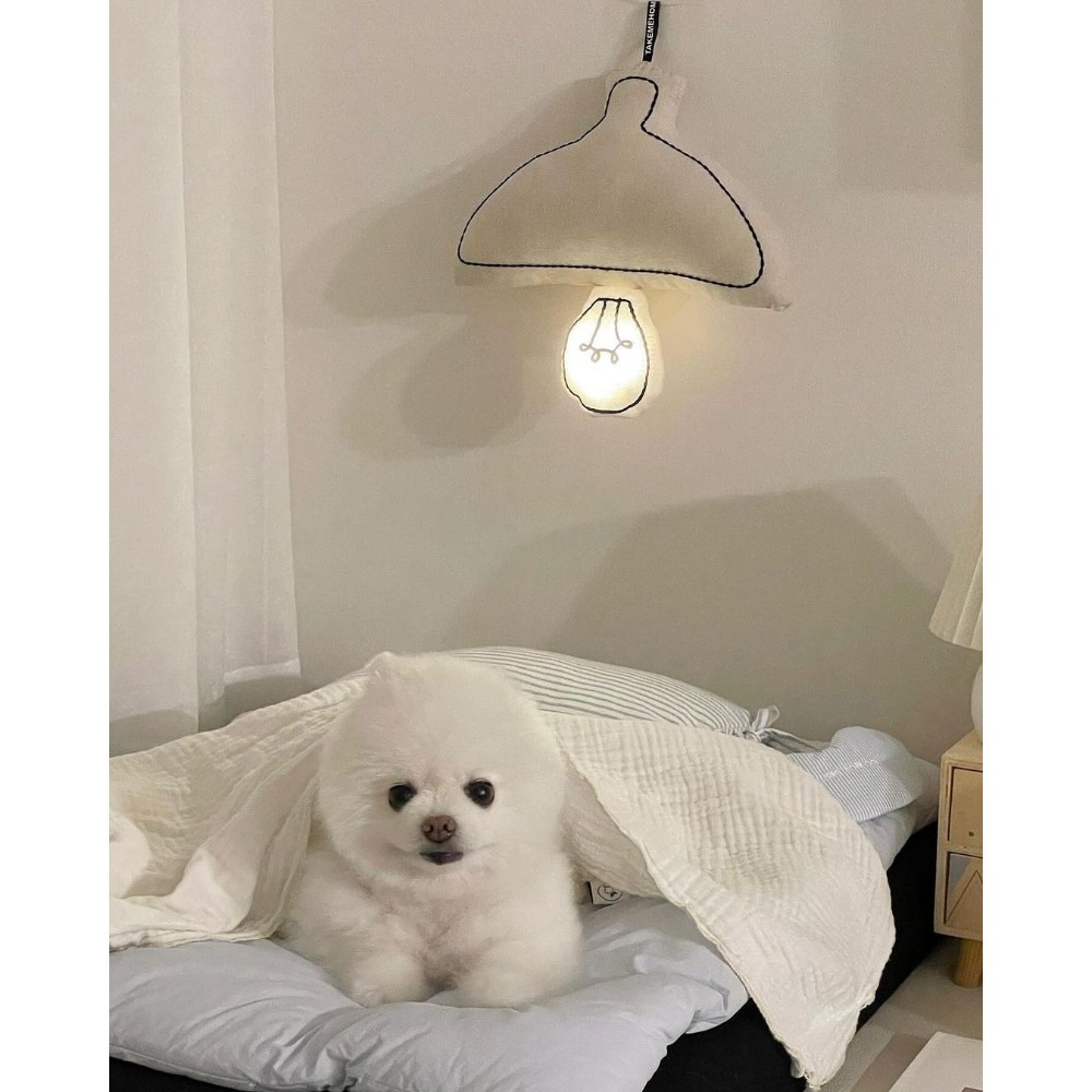 =台灣出貨=韓國ins手工製作小夜燈臥室嬰兒餵奶護眼LED床頭燈兒童房氛圍燈蘑菇裝飾-細節圖4