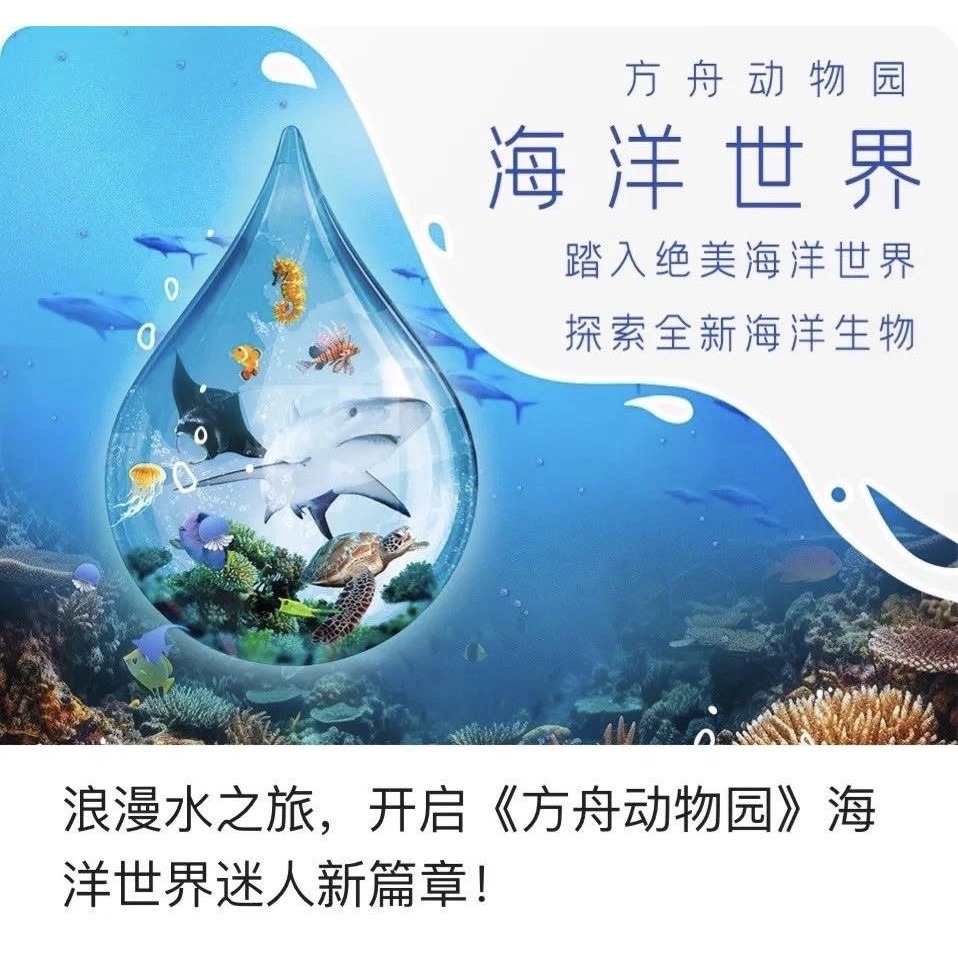 <孩子王桌遊> 正版桌遊 方舟動物園: 海洋世界 [擴充] 繁體中文版-細節圖2