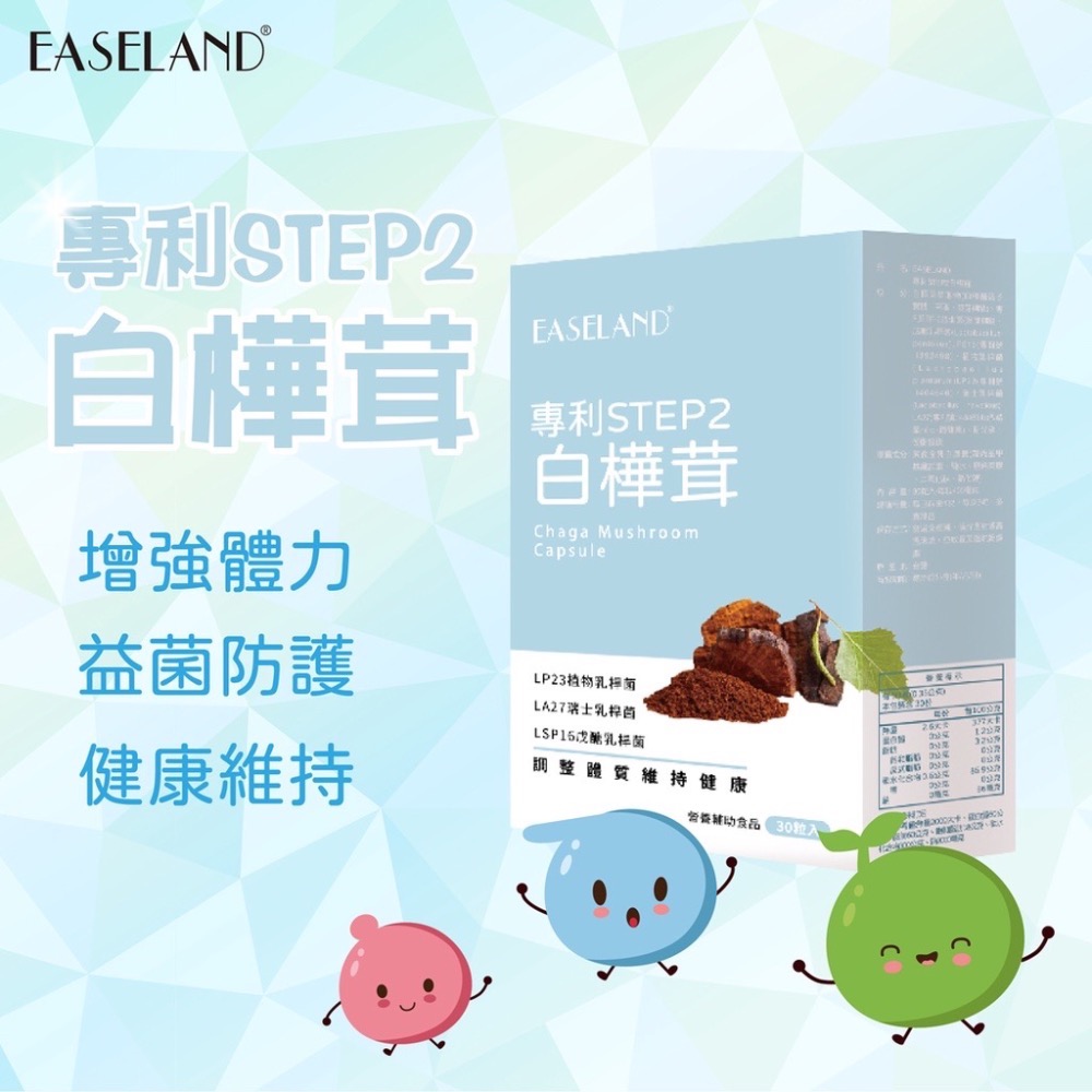 【EASELAND】STEP2 白樺茸 30顆/盒-細節圖2