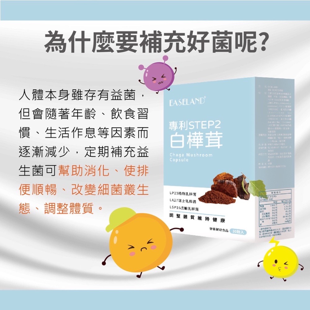 【EASELAND】STEP2 白樺茸 30顆/盒-細節圖3