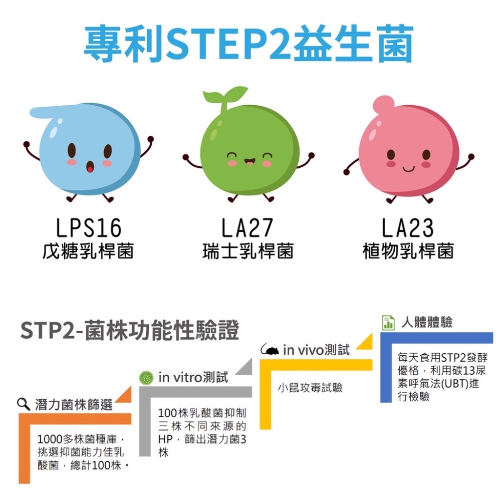 【EASELAND】STEP2 白樺茸 30顆/盒-細節圖5