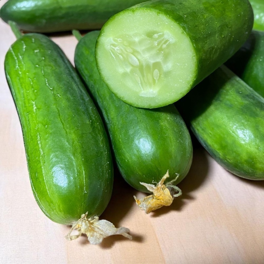 魚菜共生 營業用萵苣 1公斤 綜合萵苣、生菜沙拉 魚菜共生農場 餐廳生菜 咖啡館生菜 潛艇堡生菜-細節圖6