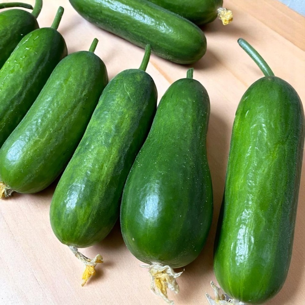 魚菜共生 營業用萵苣 1公斤 綜合萵苣、生菜沙拉 魚菜共生農場 餐廳生菜 咖啡館生菜 潛艇堡生菜-細節圖7