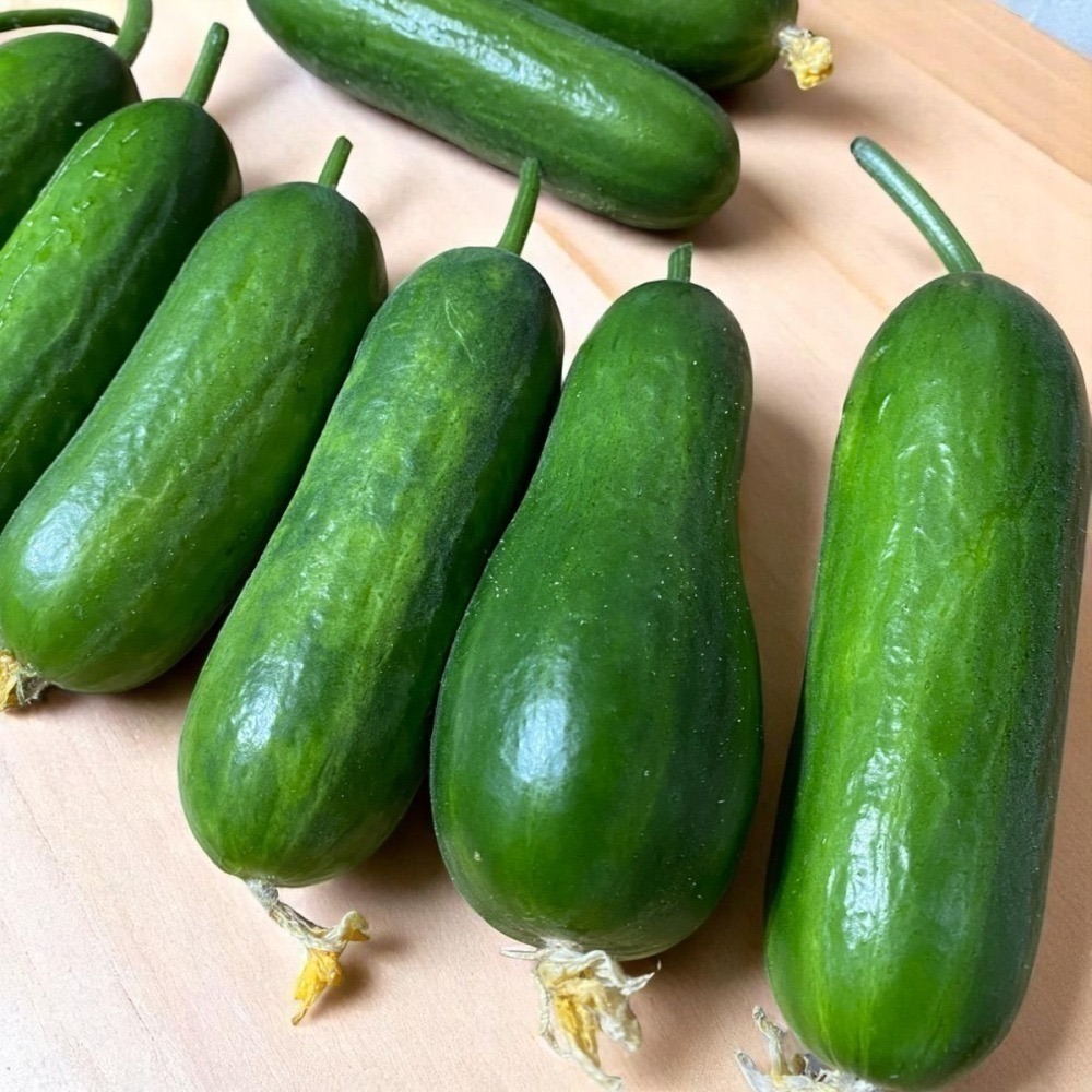 魚菜共生 營業用萵苣 1公斤 綜合萵苣、生菜沙拉 魚菜共生農場 餐廳生菜 咖啡館生菜 潛艇堡生菜-細節圖7