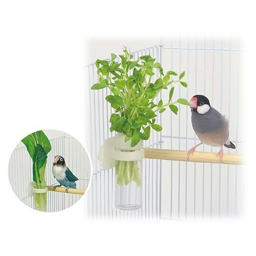 Sky Monkey 日本 SANKO 鳥用蔬菜架 多用途蔬菜杯 鸚鵡 菜架-細節圖6