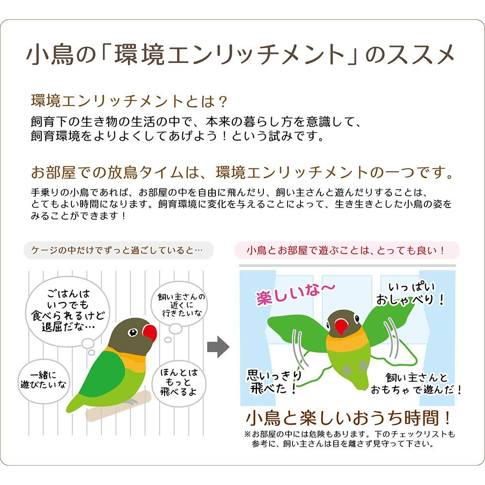 Sky Monkey☆日本 鳥盪鞦韆食皿站台 SANKO 吊掛站台 鳥玩具 跳台 休憩平台 鸚鵡站台-細節圖9