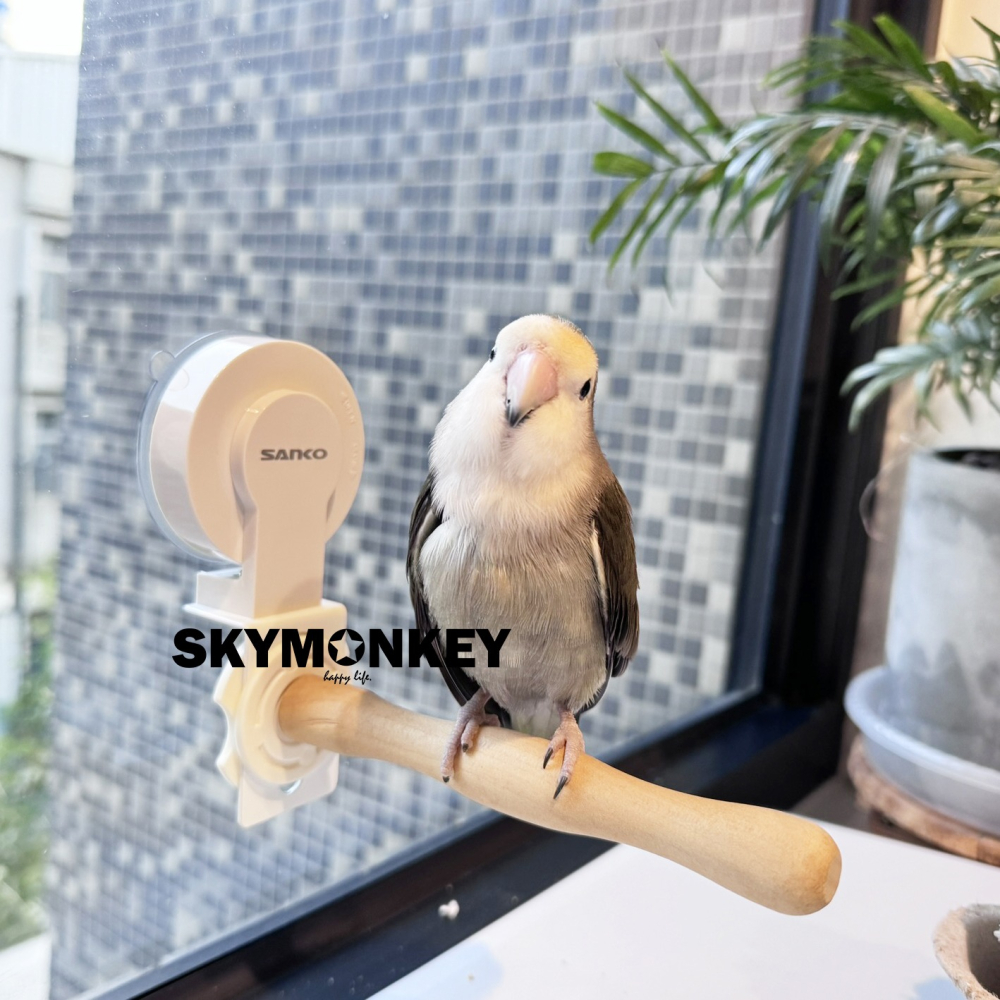 Sky Monkey☆日本 活動式吸盤站棍 SANKO 鸚鵡健康棲木 吸盤棲木 鳥站架 鳥站台 吸盤 站棍 吸盤站棍-細節圖6