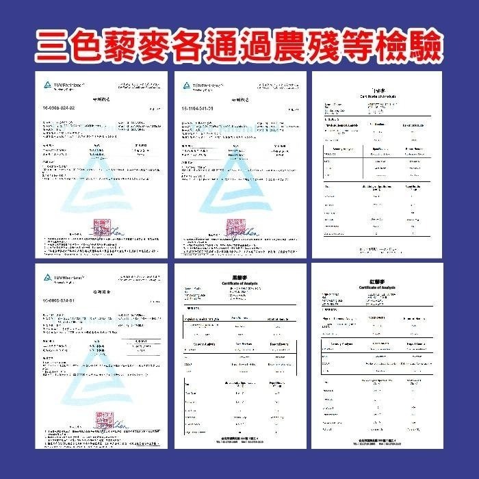 健康本味養生藜麥 經濟包500g 三色藜麥/紅藜麥/黑藜麥/白藜麥 [TW16070] 藜麥-細節圖9