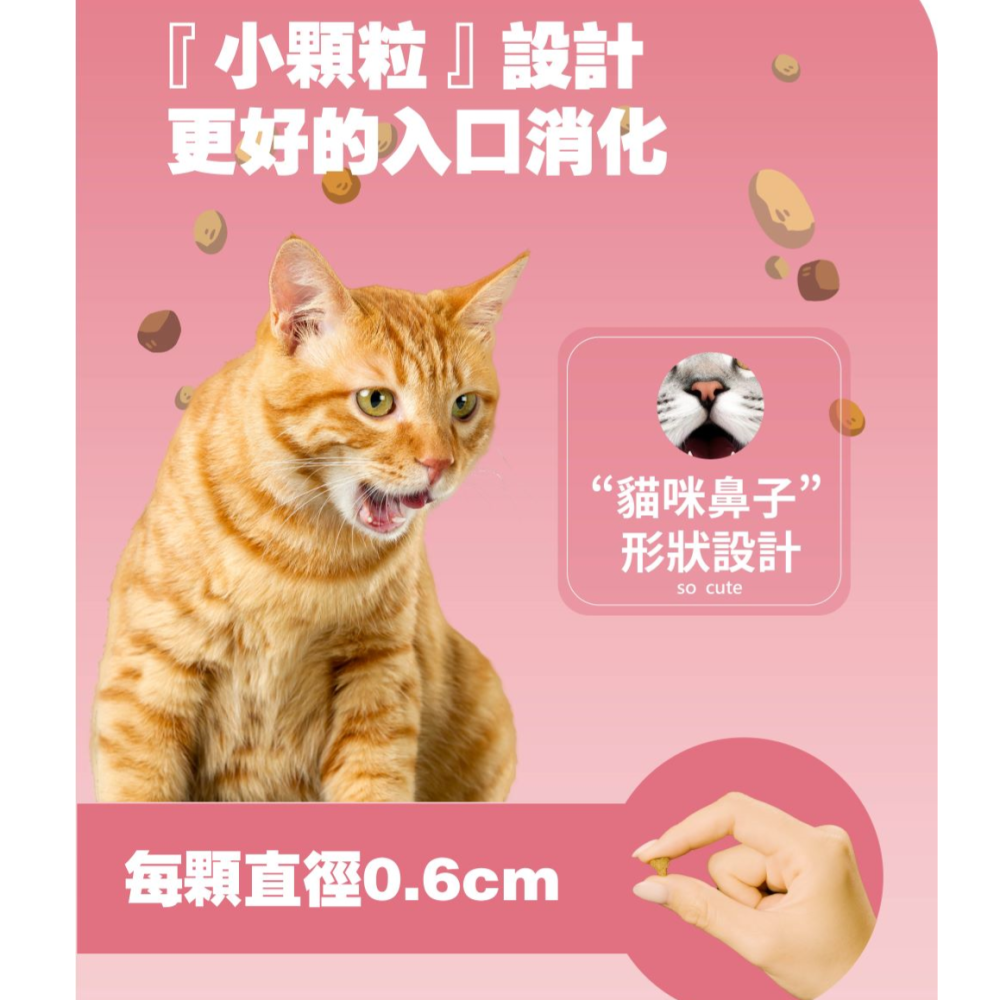 #新品特價#【毛孩噗x福壽x洽富】成貓專業配方-1.8kg (泌尿道完善)-細節圖4