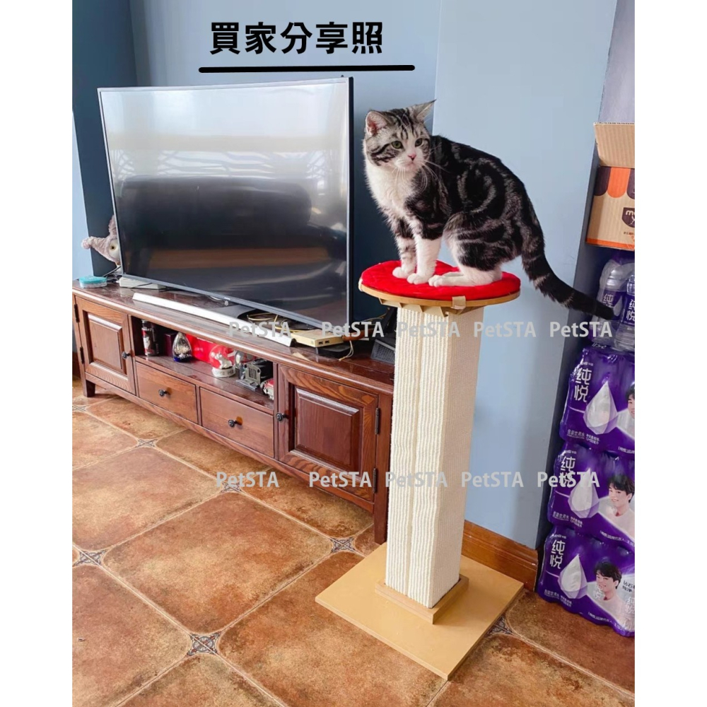 #限宅配#【美國SmartCat】經典貓抓柱 貓玩具 羅馬立柱-細節圖7