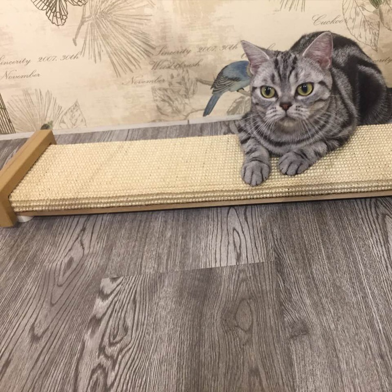 #限宅配#【美國SmartCat】經典貓抓板-貴妃爪爪樂-細節圖7