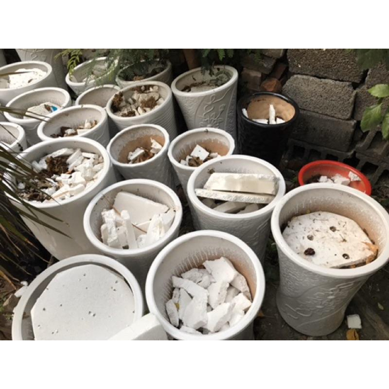 岡山可面交 擺飾用 擺設用 喪禮用 多用途 大型空花盆$200只能面交 高花瓶 高花盆-細節圖4