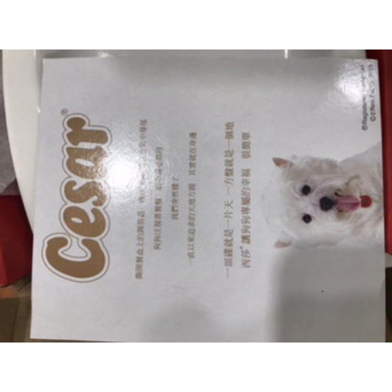 岡山可面交寵物餐盤西沙寵物餐盤新骨瓷西莎(Cesar)波浪餐盤-細節圖6