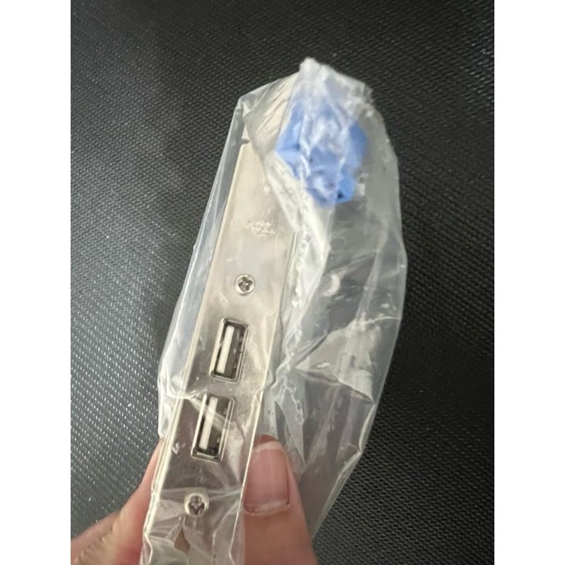 岡山 【台灣當日發貨】【電子零件／後置USB擴充卡】後置雙口USB2.0擴充卡 9pin 12公分擋板-細節圖3