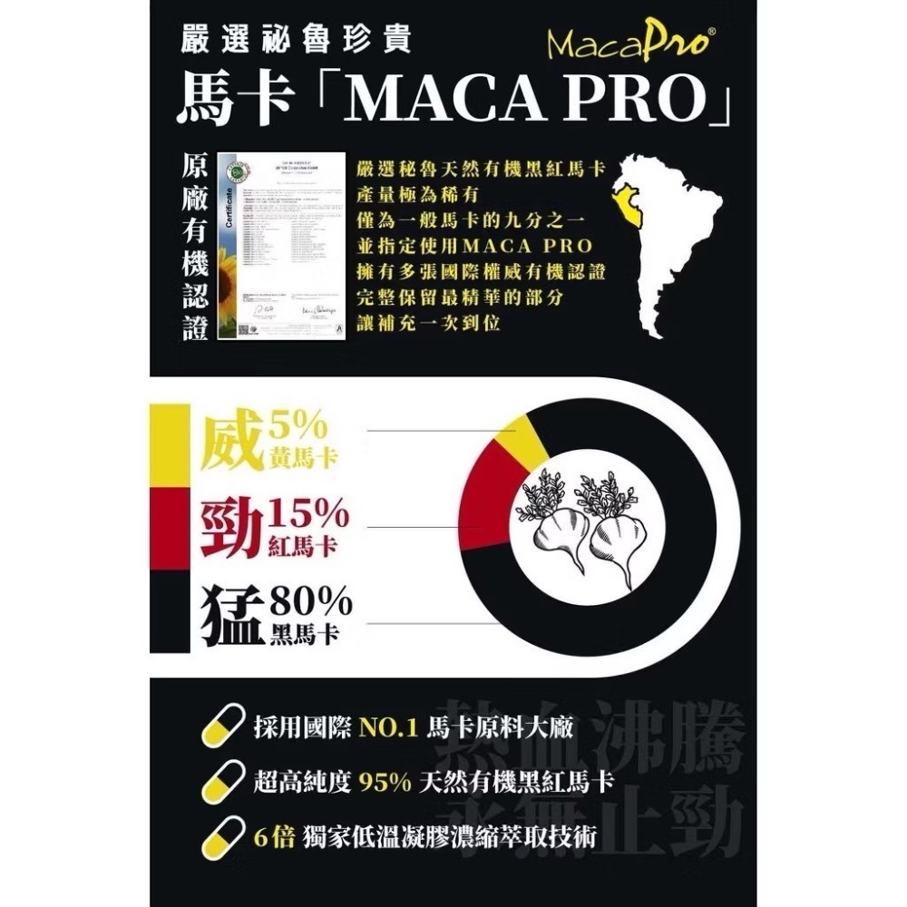 男性保養必備🔪NMN MACA馬卡-細節圖6