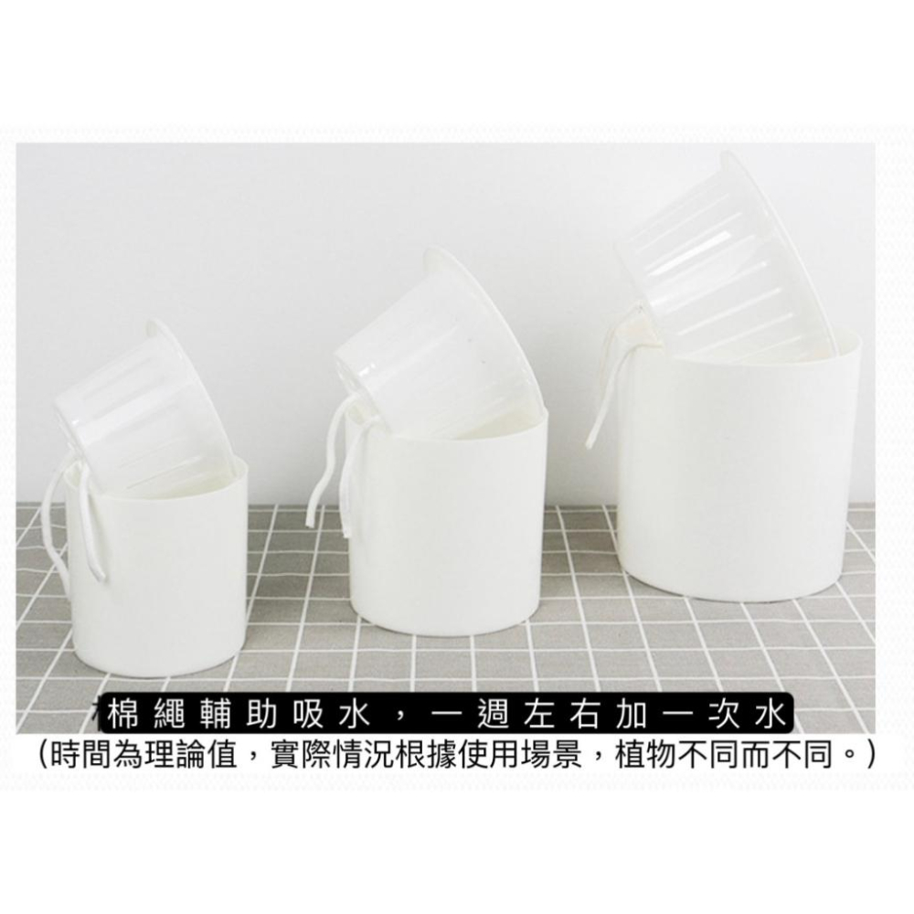 【花盆】自動吸水花盆 吸水花盆 懶人花盆 北歐風 花盆 鐵架花架 蝴蝶蘭 綠植 塑料 多肉花盆盆栽景觀盆栽-細節圖5