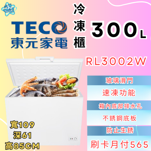 六百公司 600哥 東元冷凍櫃RL3002W 冷凍櫃 冷凍櫃刷卡.無卡分期 家用冷凍櫃 新冷凍櫃-細節圖2