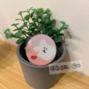 【親咕小舖-Ghin Gu Ü 台灣出貨】韓國考拉手機氣墊支架 柿子椒熊 短尾袋鼠 手機架 氣墊 考拉熊 手機週邊-規格圖5