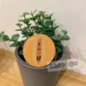【親咕小舖-Ghin Gu Ü 台灣出貨】韓國考拉手機氣墊支架 柿子椒熊 短尾袋鼠 手機架 氣墊 考拉熊 手機週邊-規格圖5