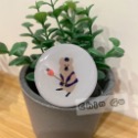 【親咕小舖-Ghin Gu Ü 台灣出貨】韓國考拉手機氣墊支架 柿子椒熊 短尾袋鼠 手機架 氣墊 考拉熊 手機週邊-規格圖5