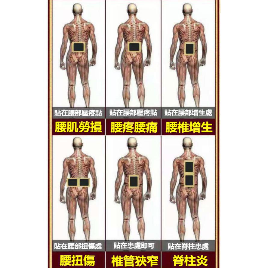 日本漢方腰椎貼 腰椎貼 艾草腰椎貼 腰椎間盤突出貼 腰椎專用貼-細節圖6