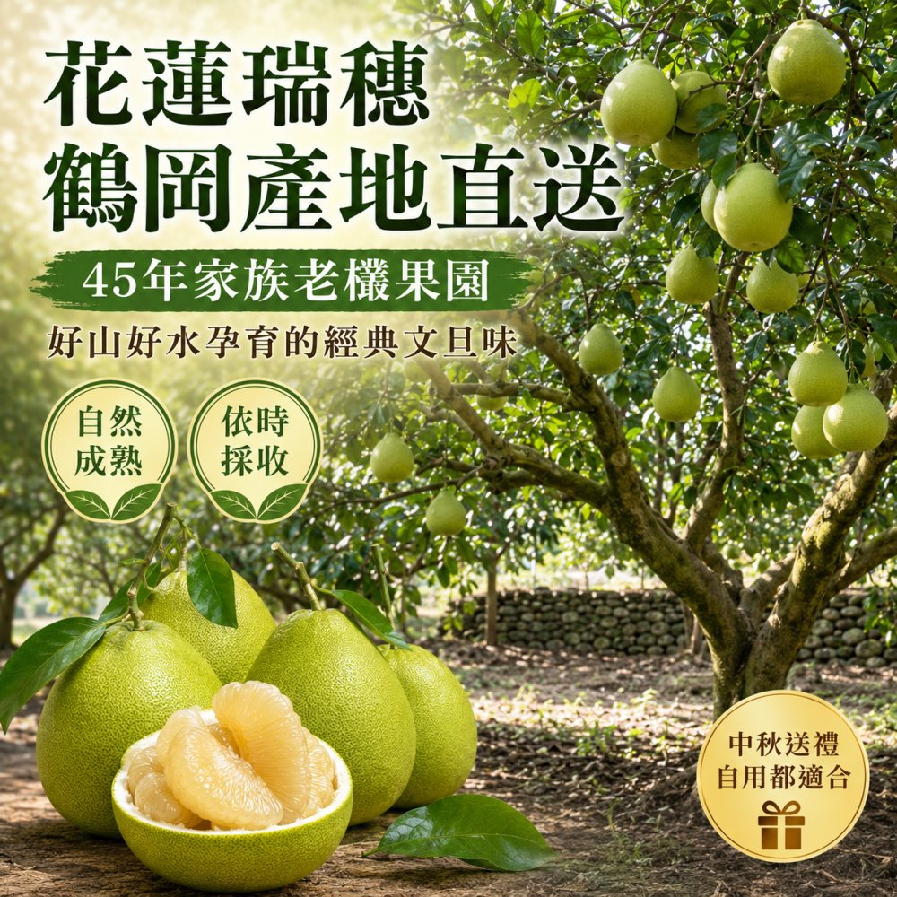 歐吉商 45年 花蓮鶴岡老欉文旦精選級10台斤(9-11顆)-細節圖4