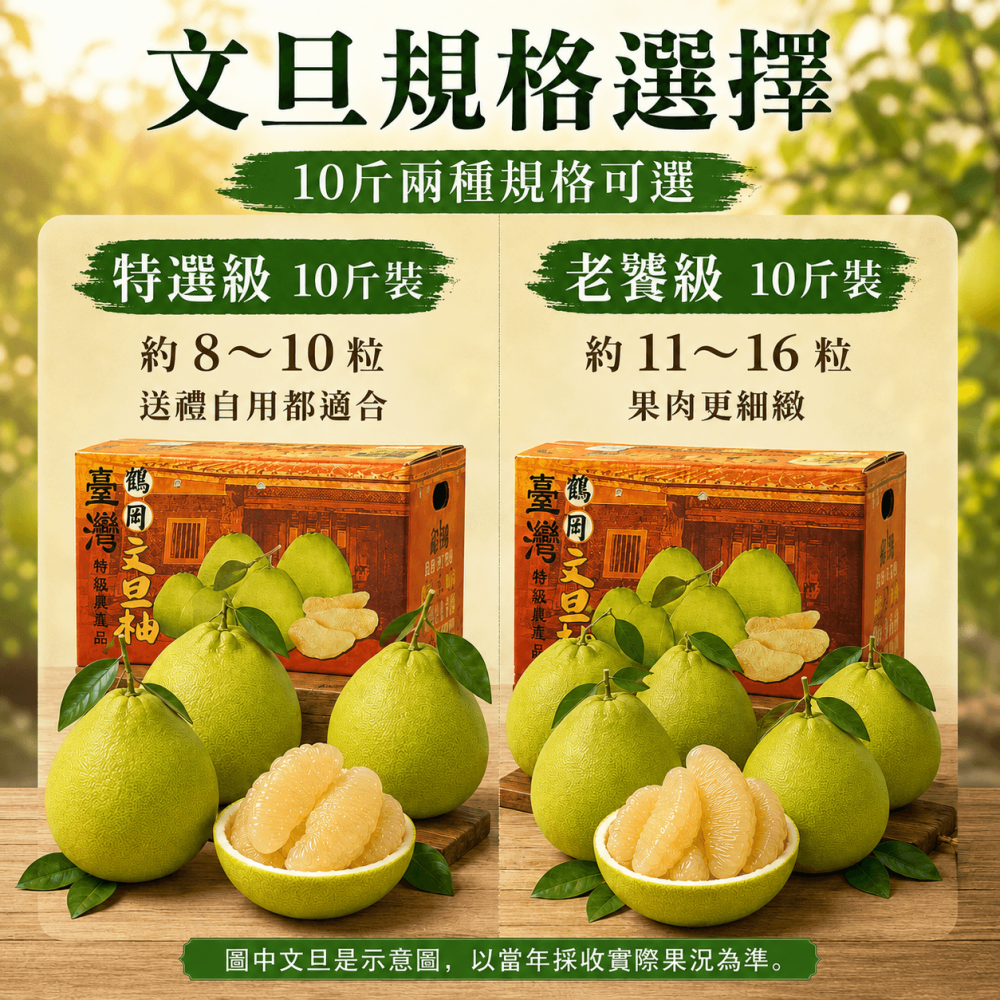 歐吉商 45年 花蓮鶴岡老欉文旦精選級10台斤(9-11顆)-細節圖5